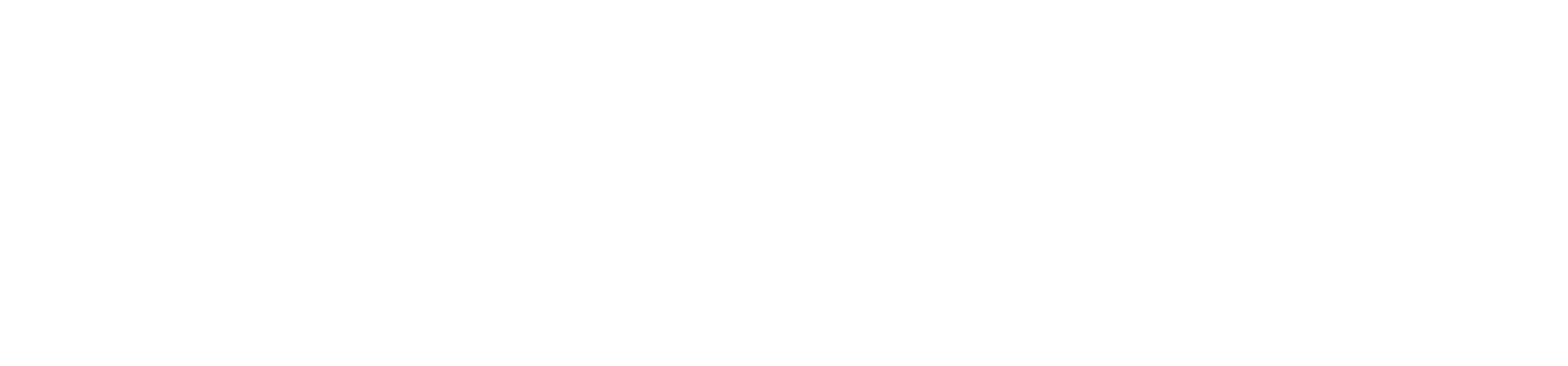 Zefra logo